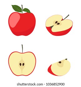 Vector illustration of red apple. Sliced apple isolated on white background