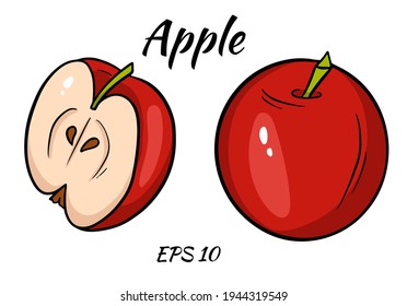 Vector illustration of red apple. Sliced apple isolated on white background.