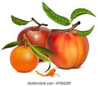 Ilustración vectorial de manzana roja y mandarinas.