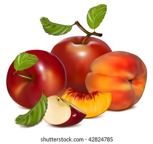 Ilustración vectorial. Manzanas rojas y melocotones maduros.