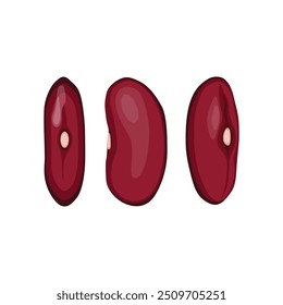 Vector illustration of red bean in cartoon flat style. Red Beans or Red Kidney Beans Vegetable symbol icon. Phaseolus vulgaris in various pose. Vegetarian healthy food. Logo for labelling