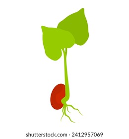Ilustración vectorial de brotes de frijol rojo con hojas verdes. Las nueces con alto contenido de proteínas son muy buenas para la salud corporal. Aislado sobre fondo blanco.