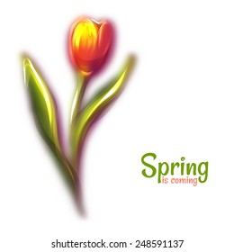 Vector illustration of red beautiful blur tulip.