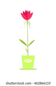 Vector illustration of a red beautiful flower in a green pot. Flat style