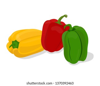 Vector illustration of red bell pepper, green bell pepper, yellow bell pepper on white background.