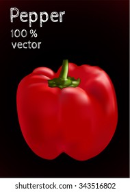  Vector illustration of red bell pepper.