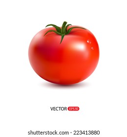 Vector illustration of red  big fresh tomato isolated on white background.