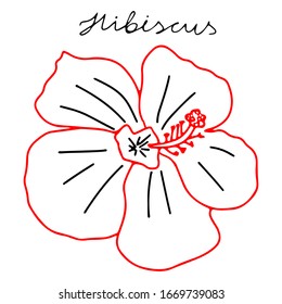 Una ilustración vectorial de una flor de Hibiscus roja y negra aislada en un fondo blanco con letras de Hibiscus
