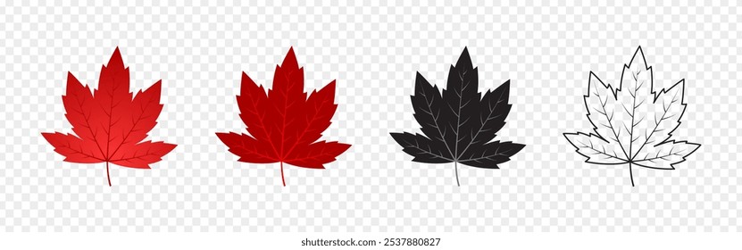 Vector illustration of red and black maple leaves on transparent background