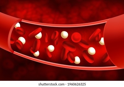 Vector Illustration Of Red Blood Cells Inside An Artery Or Vein