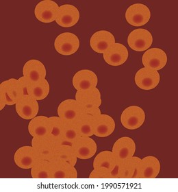 Vector illustration ,red blood cells 