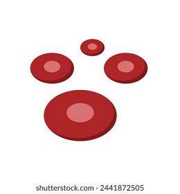 vector illustration of red blood cells. white background. illustration of body organs