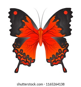 Vector illustration of a red butterfly