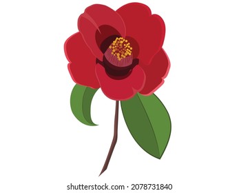 Vector illustration of red camelia flower, camelia japonica, pink romantic flower with green leave