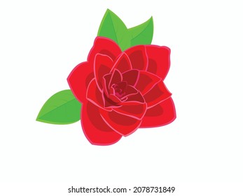 Vector illustration of red camelia flower, camelia japonica, pink romantic flower with green leave