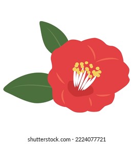 Vector illustration of red camellia flower