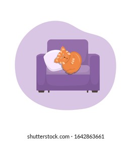 Vector illustration. Red cat sleeps on an armchair with a pillow