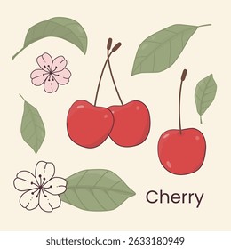 Vector illustration of red cherries, green leaves, and cherry blossoms in a flat cartoon style. Perfect for food packaging, children's books, summer designs, and botanical-themed projects.