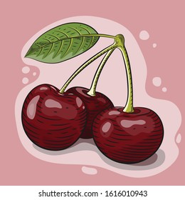 Vector illustration of red cherry berries engraved