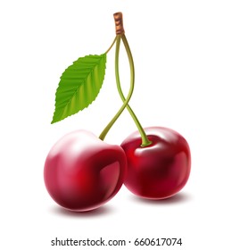 Vector illustration of red cherry berries in realistic style isolated on white background with green leaf.