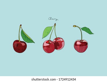 Vector Illustration of Red Cherry, fresh cherries with leaves