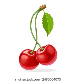 Vector illustration of red cherry, with green leaves, isolated on white background.