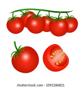 Vector illustration of a red cherry tomatoes on a branch isolated and half a tomato on a white background.