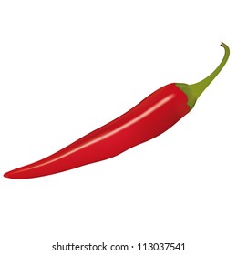 Vector illustration of a red chili pepper. Using mesh