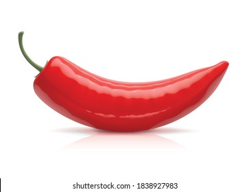 Vector illustration of red chili pepper.
