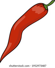Vector illustration of red chili pepper