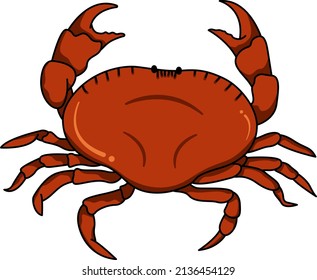 Vector illustration of a red crab.