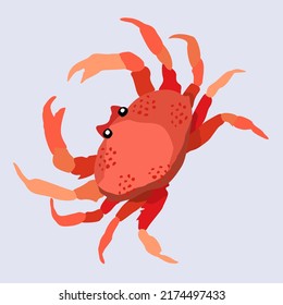 Vector illustration of red crab. Exotic marine animal. Isolated on light background.