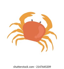 Vector illustration of red crab isolated on background.