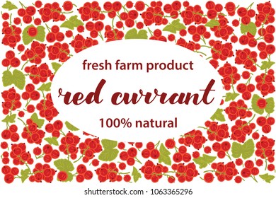 vector illustration of red currant berry and leaf design with lettering red currant background white and berry and text fresh farm product 100% natural for you EPS10