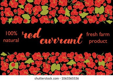 vector illustration of red currant berry and leaf design with lettering red currant background black and berry and text fresh farm product 100% natural for you EPS10