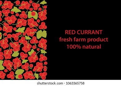 vector illustration of red currant berry and leaf design background black and white and berry and text fresh farm product 100% natural EPS10