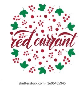 Vector illustration of Red Currant text for logotype, menu, label, banner, magazine, poster, decoration, restaurant. Red Currant calligraphy background. Red Currant lettering. EPS 10. 