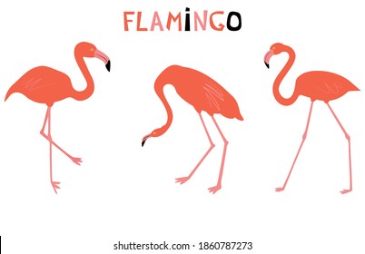 Ilustración vectorial con flamingo rojo. Personaje de dibujos animados. Estilo plano.  