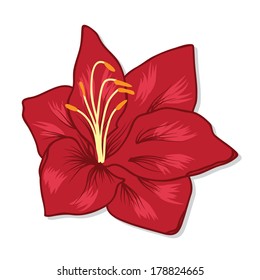 Vector illustration of red flower