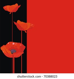 Vector illustration a red flowers on a black background