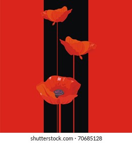 Vector illustration a red flowers on a black background