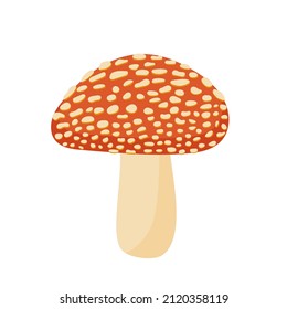 Vector illustration of a red fly agaric in cartoon style isolated on a white background.