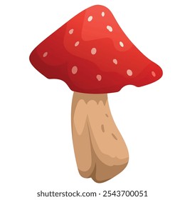 Vector illustration of red fly agaric mushroom. Elements for your design.