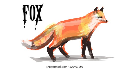 Vector illustration of a red fox. Imitation of watercolor strokes.