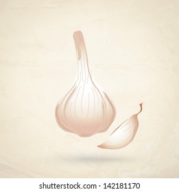 Vector illustration of red fresh garlic