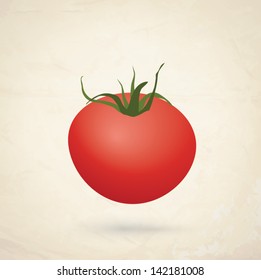 Vector illustration of red fresh tomato