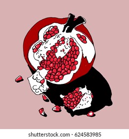 vector illustration of red garnet