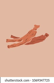 Vector Illustration. Red Ginseng illustration with color.