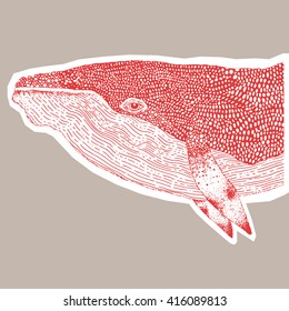 Vector Illustration of a red graphic hand drawn whale on a beige background