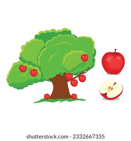 Ilustración vectorial de manzana roja o verde en diseño plano aislado en fondo blanco, concepto de cultivo, árbol con frutas y manzanas grandes cerca de ella, cosecha o elementos de educación infográfica para niños.